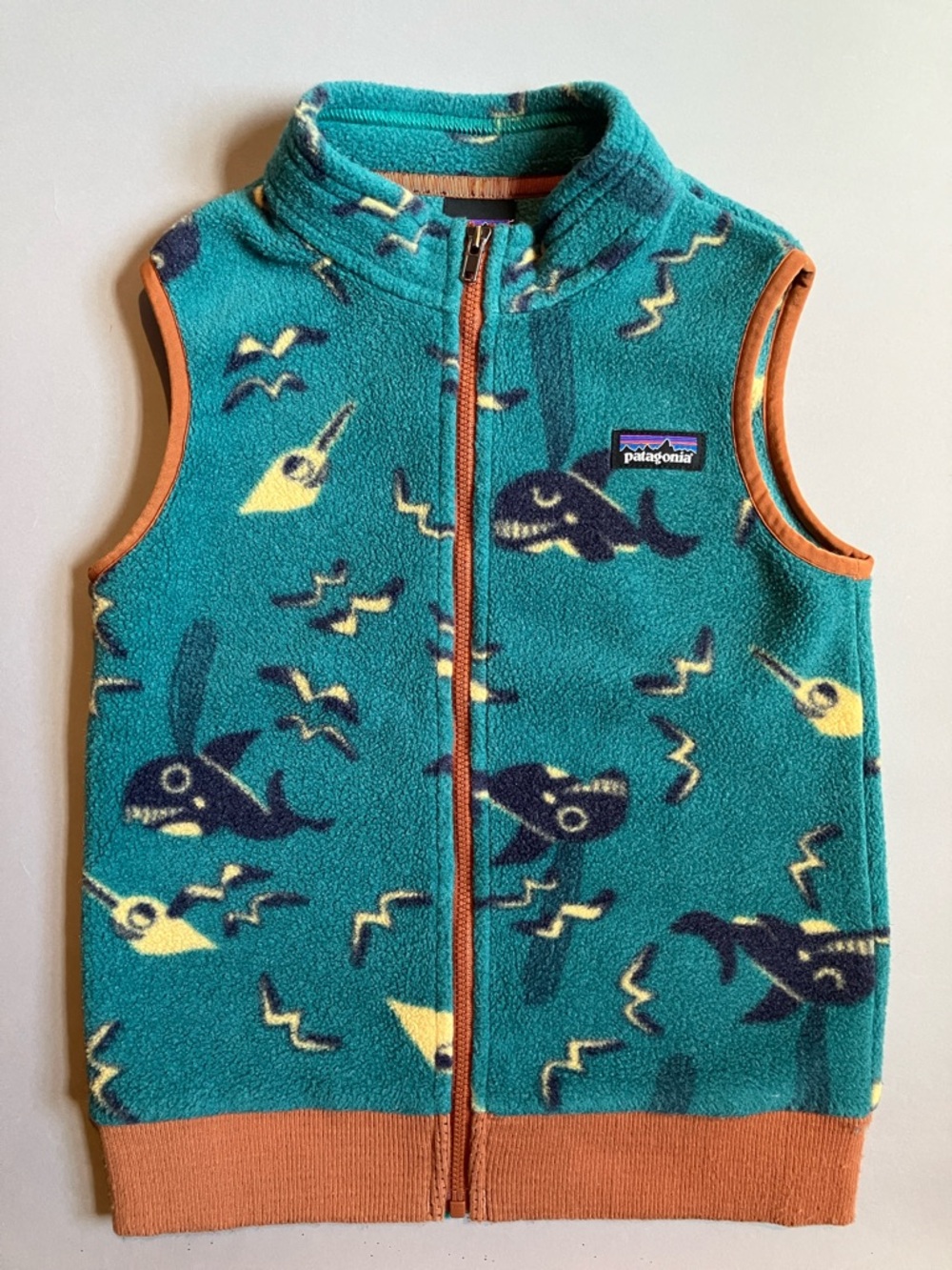 Patagonia Synchilla Kids Vest